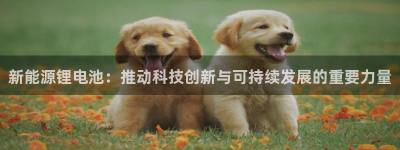 tp钱包官方网免费下载