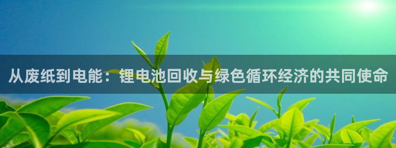 tp钱包被莫名地址转走