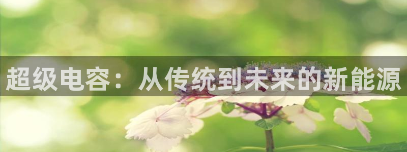 tp钱包苹果版安装教程