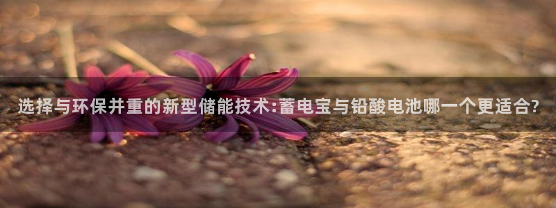 tp钱包转账教程