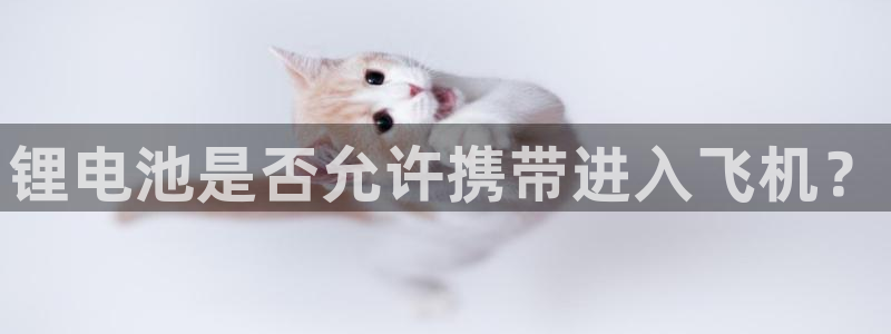 tp钱包怎么添加合约