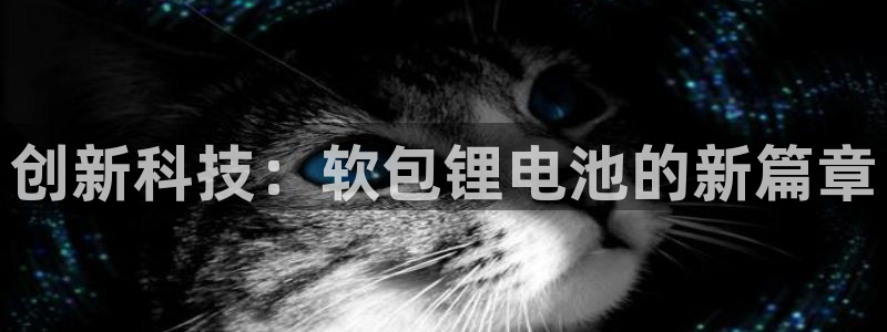 TP钱包CORE提币网址