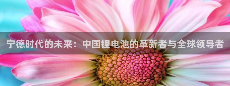 tp钱包冷钱包怎么转账