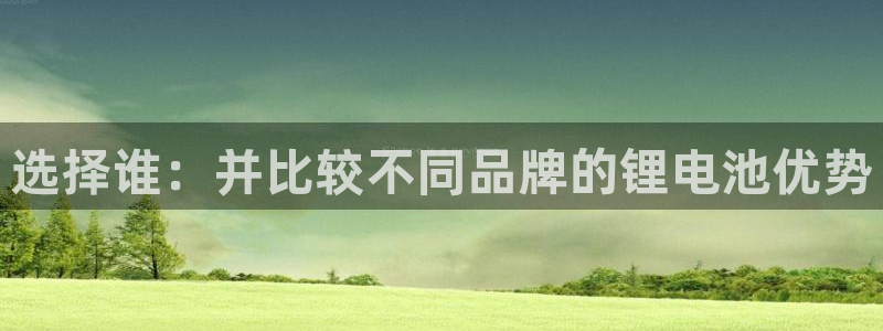 TP钱包跑路最新消息