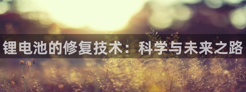 tp钱包账号密码忘记了怎么办