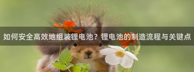tp钱包nft交易网址