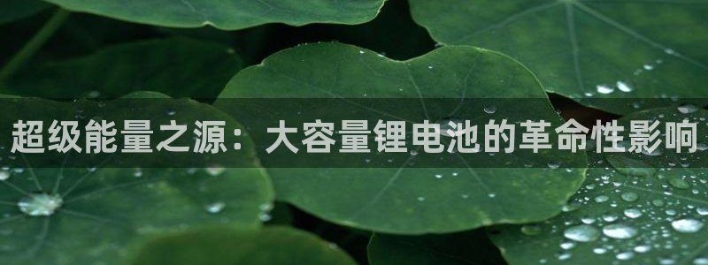 tp钱包官方正版下载官网最新版