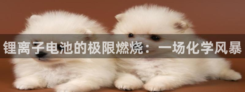 在tp钱包里面的币怎么看涨幅