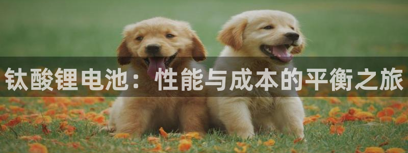 tp钱包设置gas