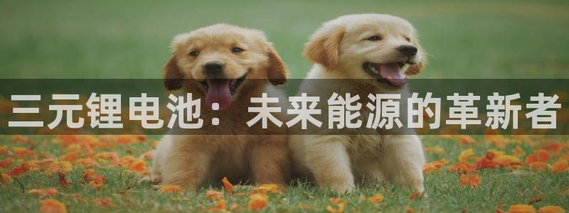 tp钱包进不去