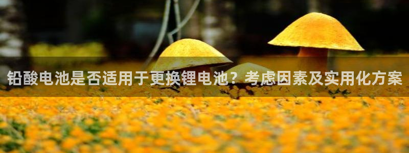 tp观察钱包地址无效