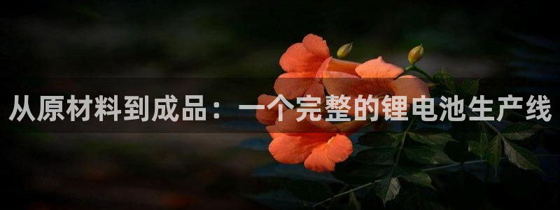 tp钱包怎么转u