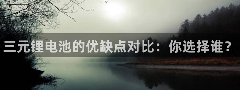tp钱包里面的币不见了