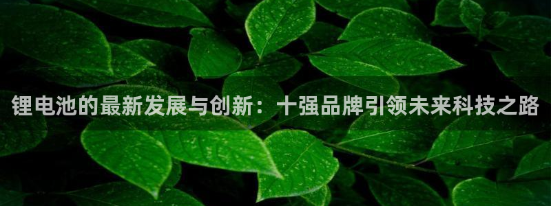 tp钱包官网下载app最新版本2023