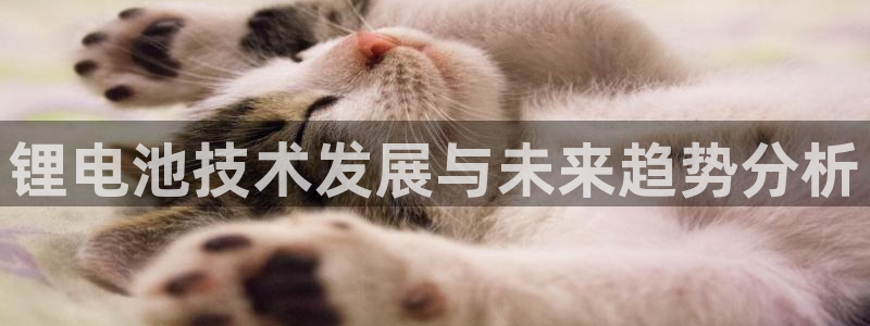 tp钱包冷钱包怎么弄