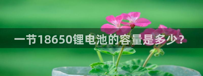 tp钱包设置gas