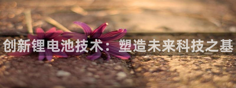 tp钱包改密码
