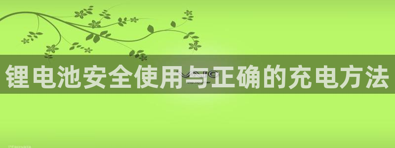 tp钱包的币直接被转走了：锂电池安全使用与正确的充电方法