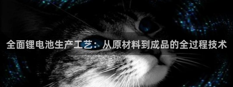 tp钱包trx网络费贵