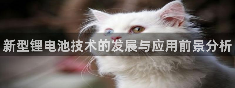 TP数字钱包下载