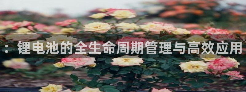 tp钱包被骗套路怎么办：：锂电池的全生命周期管理与高效应用