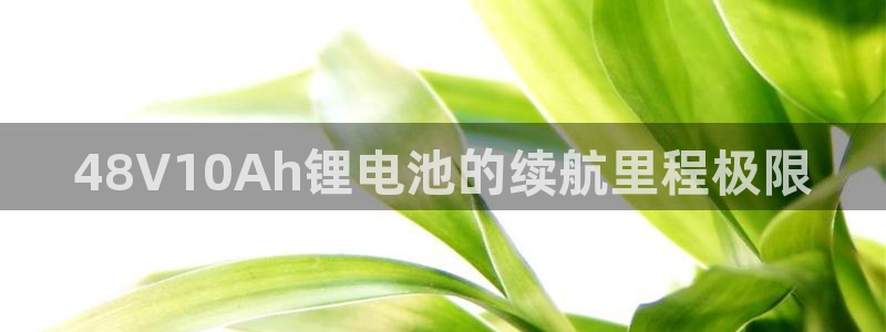 Tp钱包的币怎么转给对方