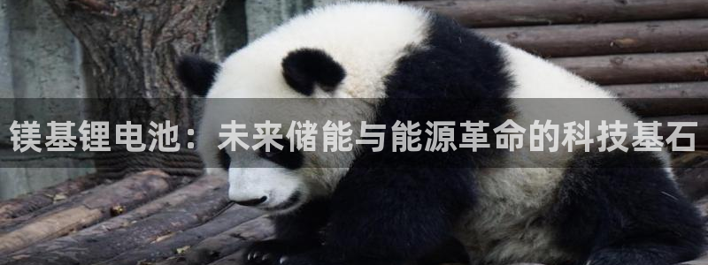 tp钱包下载教程