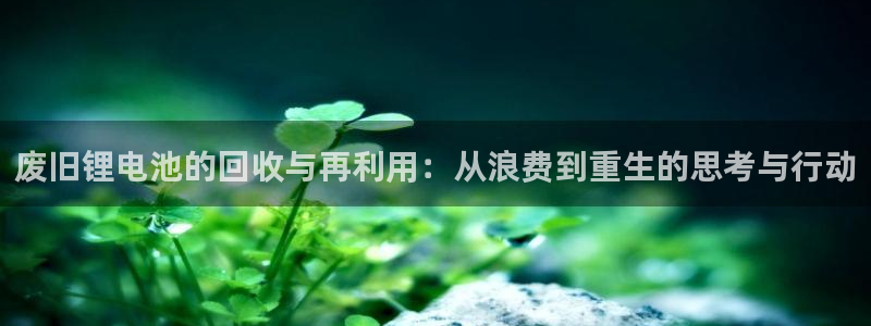 tp钱包不更新资产