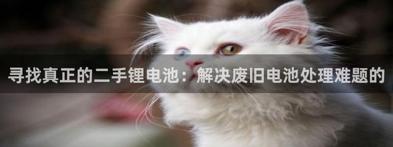TP钱包怎么样下载：寻找真正的二手锂电池：解决废旧电池处理难题的