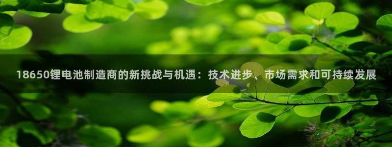 tp钱包bsc地址