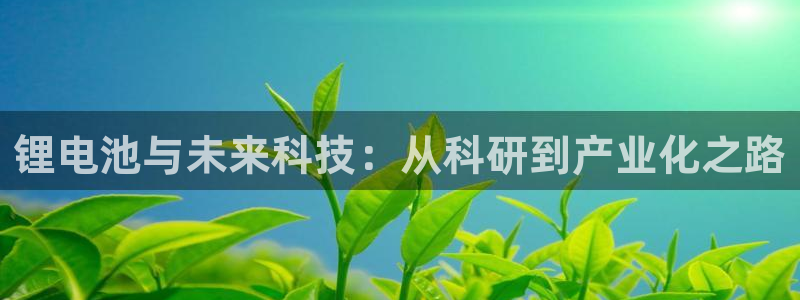 tp钱包卖币卖不出去