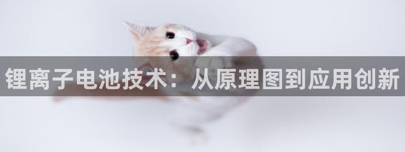 tp钱包官网tokenpocket