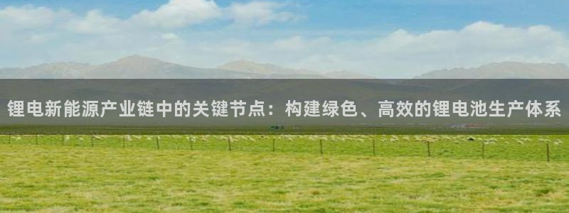 TP钱包怎样如何创建