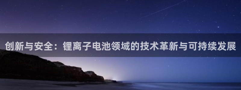 tp钱包跨链闪兑手续费：创新与安全：锂离子电池领域的技术革新与可持续发展