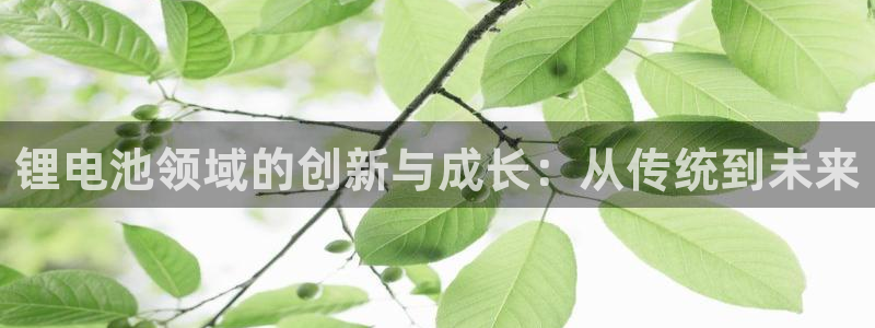 tp钱包官网下载苹果版