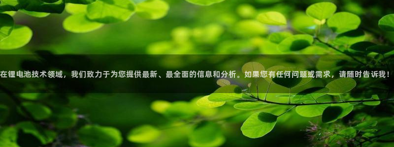 tp钱包怎么改成人民币：在锂电池技术领域，我们致力于为您提供最新、最全面的信息和分析。如果您有任何问题或需求，请随时告诉我！