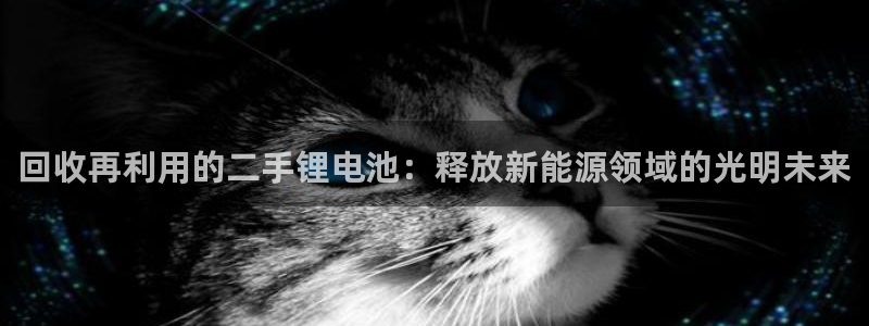 tp钱包怎么把币转回okex：回收再利用的二手锂电池：释放新能源领域的光明未来