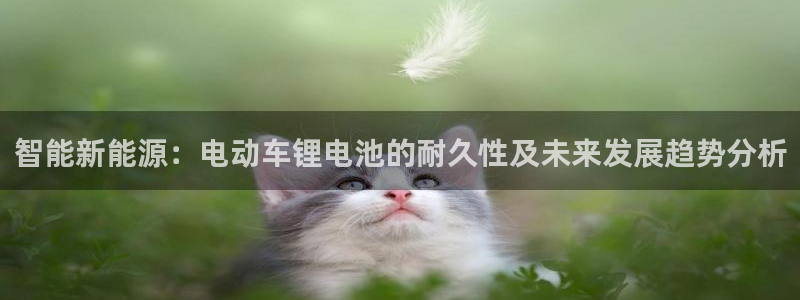 tp钱包 百科