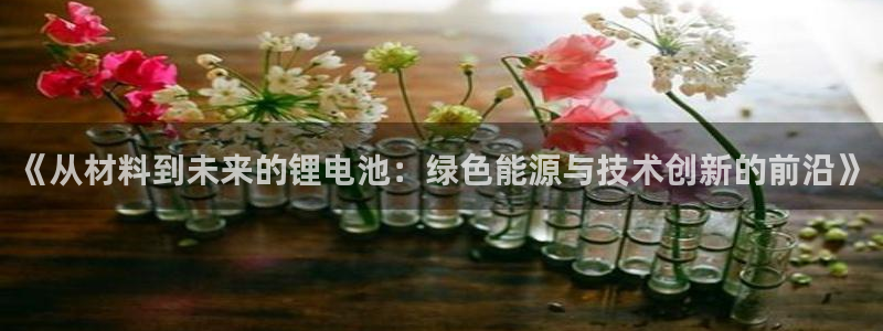 tp钱包下载安卓官网app：《从材料到未来的锂电池：绿色能源与技术创新的前沿》