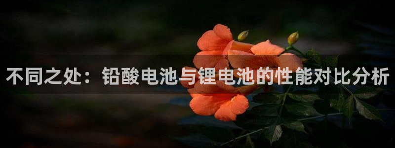 tp钱包签名不在权限：不同之处：铅酸电池与锂电池的性能对比分析