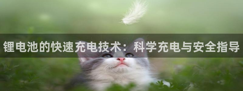 tp钱包uniswap打不开