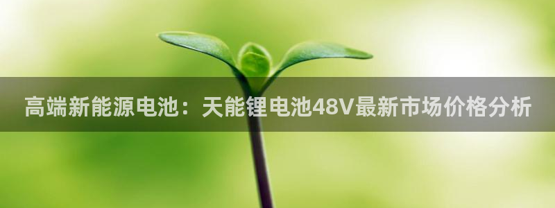 tp钱包设置滑点：高端新能源电池：天能锂电池48V最新市场价格分析