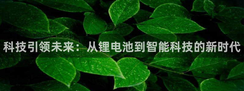 tp钱包hterc20：科技引领未来：从锂电池到智能科技的新时代