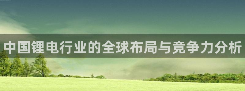 tp钱包如何退出登录：中国锂电行业的全球布局与竞争力分析