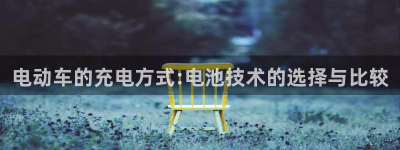 tp钱包购买pig：电动车的充电方式:电池技术的选择与比较