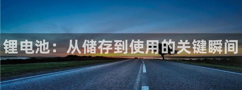 tplongin下载：锂电池：从储存到使用的关键瞬间