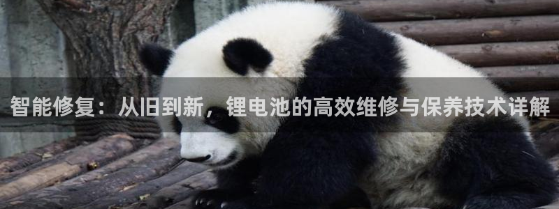 tp钱包验证签名错误怎么解决啊：智能修复：从旧到新，锂电池的高效维修与保养技术详解