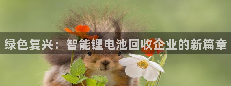 tp 钱包可以再次注册吗：绿色复兴：智能锂电池回收企业的新篇章