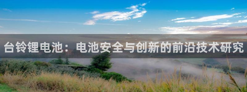 tp钱包app手机号在哪里找出来：台铃锂电池：电池安全与创新的前沿技术研究