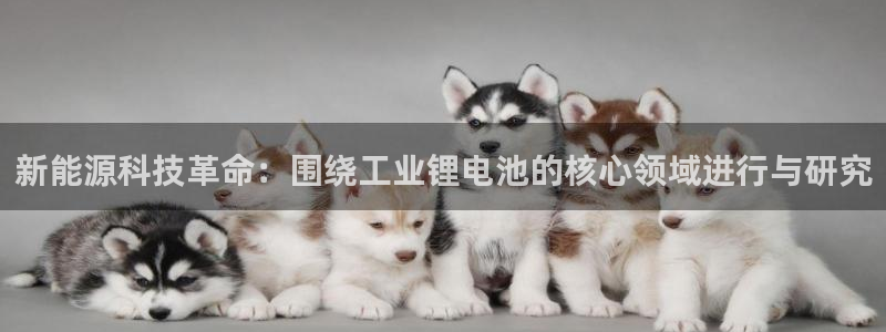 TP钱包DDL挖矿安全吗：新能源科技革命：围绕工业锂电池的核心领域进行与研究